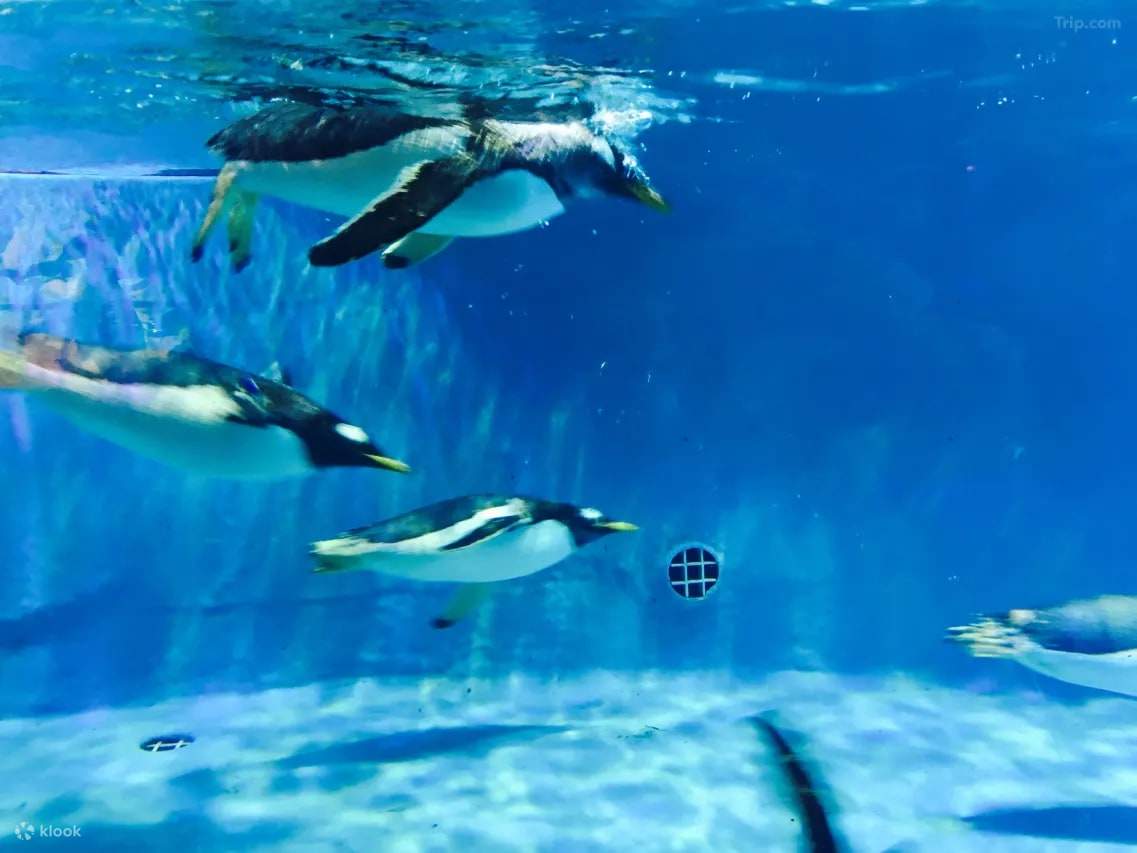 รอบๆ โรงแรม